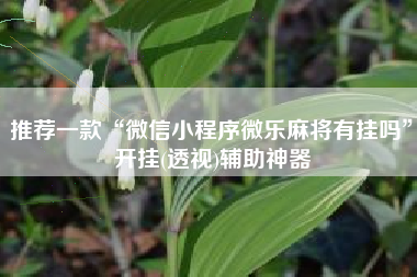 推荐一款“微信小程序微乐麻将有挂吗”开挂(透视)辅助神器