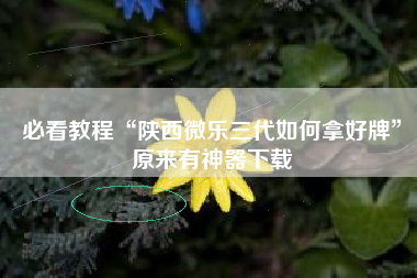 必看教程“陕西微乐三代如何拿好牌”原来有神器下载