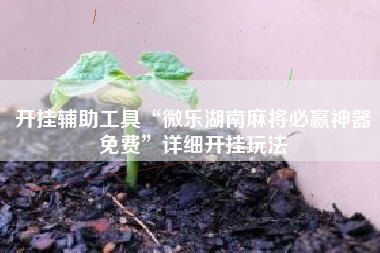 开挂辅助工具“微乐湖南麻将必赢神器免费	”详细开挂玩法