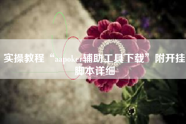 实操教程“aapoker辅助工具下载	”附开挂脚本详细