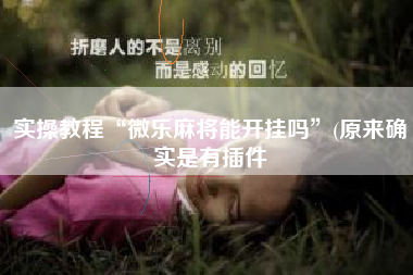 实操教程“微乐麻将能开挂吗	”(原来确实是有插件