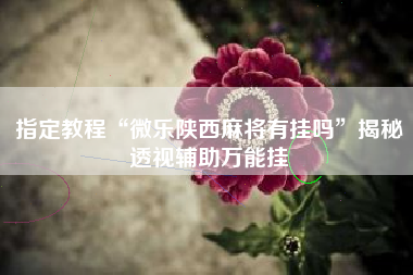 指定教程“微乐陕西麻将有挂吗”揭秘透视辅助万能挂