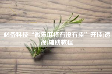 必备科技“微乐麻将有没有挂”开挂(透视)辅助教程