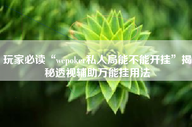玩家必读“wepoker私人局能不能开挂”揭秘透视辅助万能挂用法