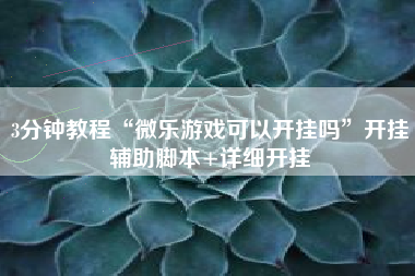 3分钟教程“微乐游戏可以开挂吗”开挂辅助脚本+详细开挂