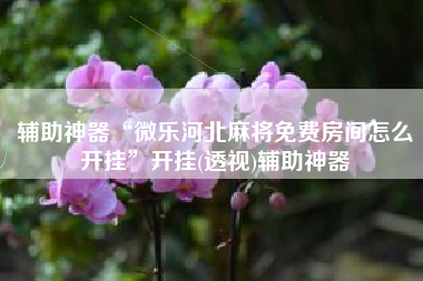 辅助神器“微乐河北麻将免费房间怎么开挂”开挂(透视)辅助神器