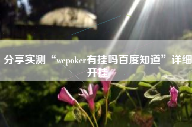 分享实测“wepoker有挂吗百度知道”详细开挂