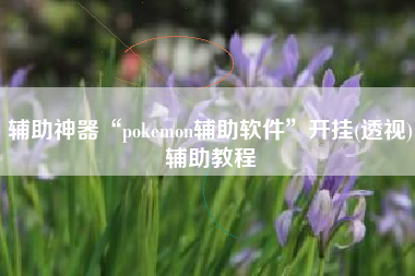 辅助神器“pokemon辅助软件	”开挂(透视)辅助教程