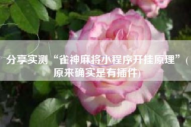 分享实测“雀神麻将小程序开挂原理”(原来确实是有插件)