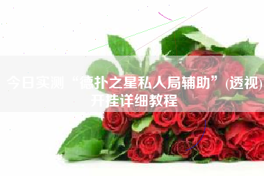 今日实测“德扑之星私人局辅助”(透视)开挂详细教程