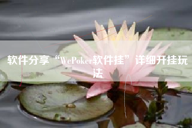 软件分享“WePoker软件挂”详细开挂玩法