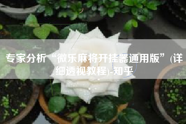 专家分析“微乐麻将开挂器通用版”(详细透视教程)-知乎