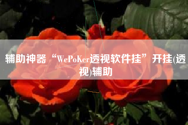 辅助神器“WePoKer透视软件挂	”开挂(透视)辅助