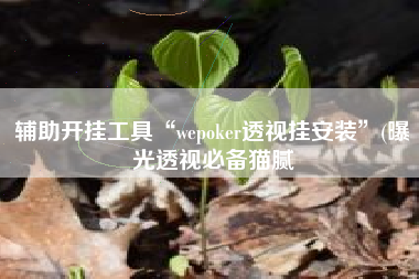 辅助开挂工具“wepoker透视挂安装”(曝光透视必备猫腻