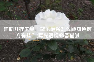 辅助开挂工具“微乐麻将怎么能知道对方有挂”(曝光透视必备猫腻