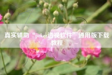 真实辅助“poker透视软件	”通用版下载教程