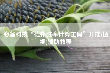 必备科技“德扑胜率计算工具”开挂(透视)辅助教程