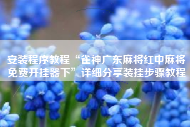 安装程序教程“雀神广东麻将红中麻将免费开挂器下	”详细分享装挂步骤教程