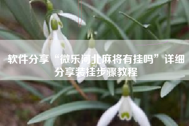 软件分享“微乐河北麻将有挂吗”详细分享装挂步骤教程