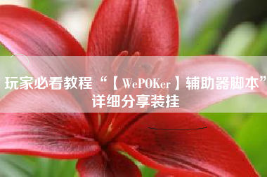 玩家必看教程“【WePOKer】辅助器脚本”详细分享装挂