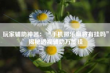 玩家辅助神器：“手机微乐麻将有挂吗”揭秘透视辅助万能挂
