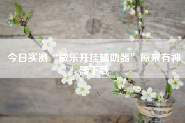 今日实测“微乐开挂辅助器	”原来有神器下载