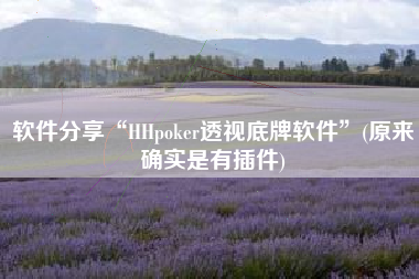 软件分享“HHpoker透视底牌软件”(原来确实是有插件)