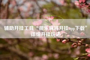 辅助开挂工具“微乐麻将开挂app下载”详细开挂玩法