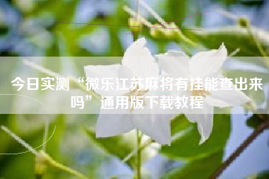 今日实测“微乐江苏麻将有挂能查出来吗”通用版下载教程