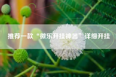 推荐一款“微乐开挂神器	”详细开挂