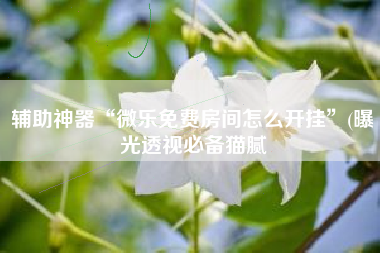 辅助神器“微乐免费房间怎么开挂”(曝光透视必备猫腻