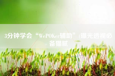 3分钟学会“WePOKer辅助”(曝光透视必备猫腻