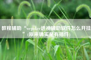 教程辅助“wepoker透视辅助软件怎么开挂”(原来确实是有插件)