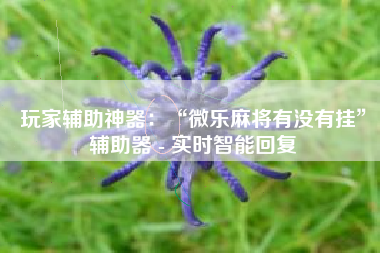 玩家辅助神器：“微乐麻将有没有挂”辅助器 - 实时智能回复