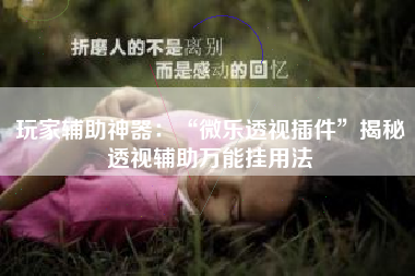 玩家辅助神器：“微乐透视插件	”揭秘透视辅助万能挂用法