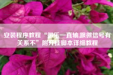 安装程序教程“微乐一直输,跟微信号有关系不”附开挂脚本详细教程