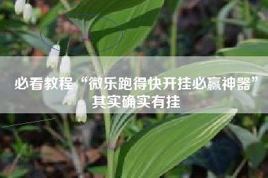必看教程“微乐跑得快开挂必赢神器”其实确实有挂