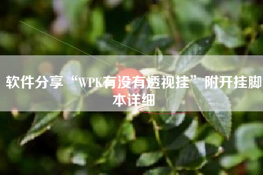 软件分享“WPK有没有透视挂	”附开挂脚本详细