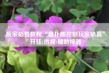 玩家必看教程“德扑圈控制玩家输赢	”开挂(透视)辅助神器