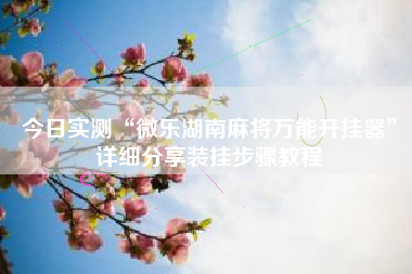 今日实测“微乐湖南麻将万能开挂器	”详细分享装挂步骤教程