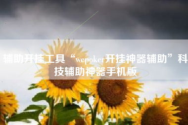辅助开挂工具“wepoker开挂神器辅助”科技辅助神器手机版