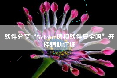 软件分享“WePoker透视软件安全吗	”开挂辅助详细