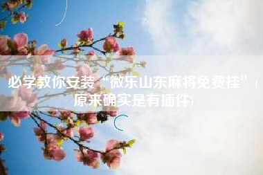 必学教你安装“微乐山东麻将免费挂”(原来确实是有插件)