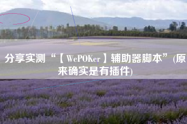 分享实测“【WePOKer】辅助器脚本”(原来确实是有插件)