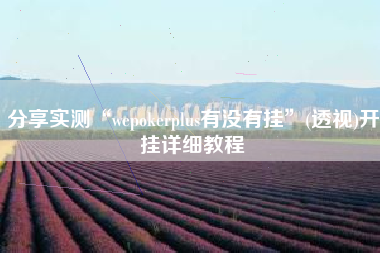 分享实测“wepokerplus有没有挂”(透视)开挂详细教程
