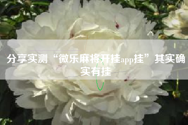 分享实测“微乐麻将开挂app挂	”其实确实有挂