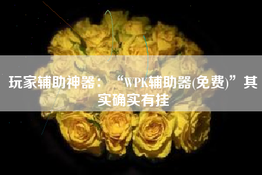 玩家辅助神器：“WPK辅助器(免费)”其实确实有挂