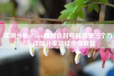 实测分析“wpk辅助会封号最简单三个方法	”详细分享装挂步骤教程