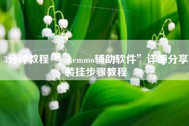3分钟教程“pokemmo辅助软件”详细分享装挂步骤教程