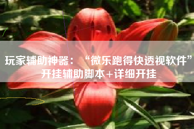 玩家辅助神器：“微乐跑得快透视软件	”开挂辅助脚本+详细开挂